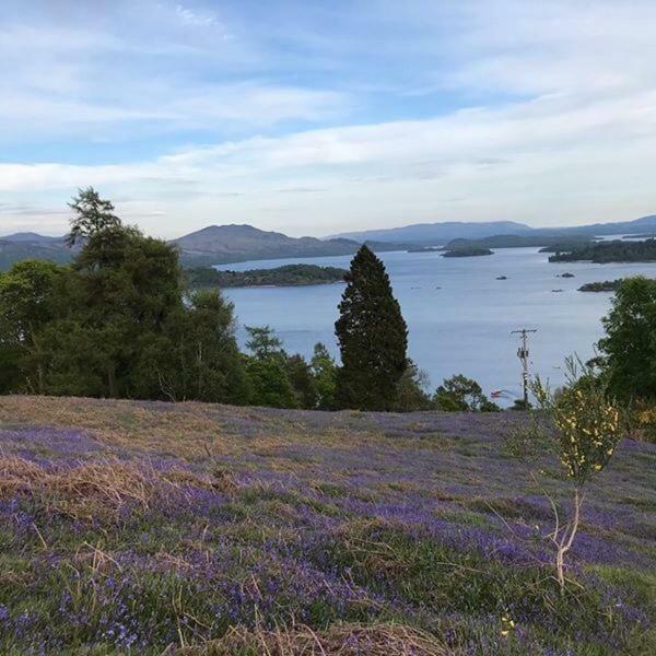 Alderdale B&B ルス エクステリア 写真